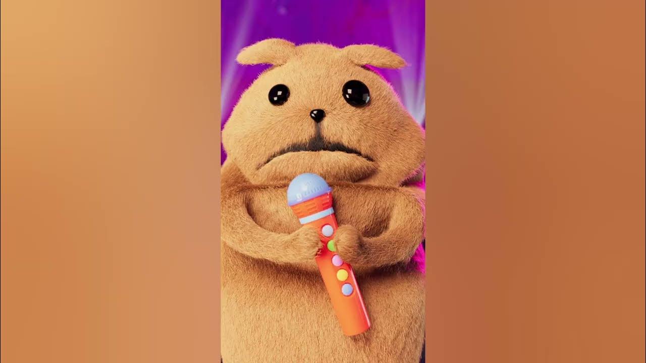 Noodle and Bun TikTok compilation! Noodle and Bun YouTube