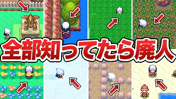 ポケモン隠しソフト