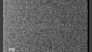 Near-Earth asteroid 2011MD