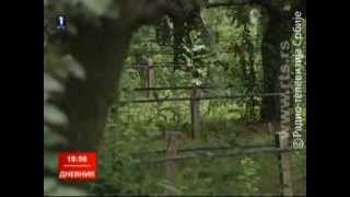 Dnevnik 2 RTS-a  za 29. jun 2013