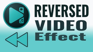 REVERSED Video Effect in VSDC Free Video Editor (Tutorial)