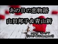 あの日の恋物語 山田邦子 青山新 coverミルクT(ミルク&Tomogara2)