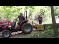 moving walnut log and cutting small logs
