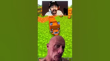 Fox uses Totem of Undying in #minecraft #minecrafthindi