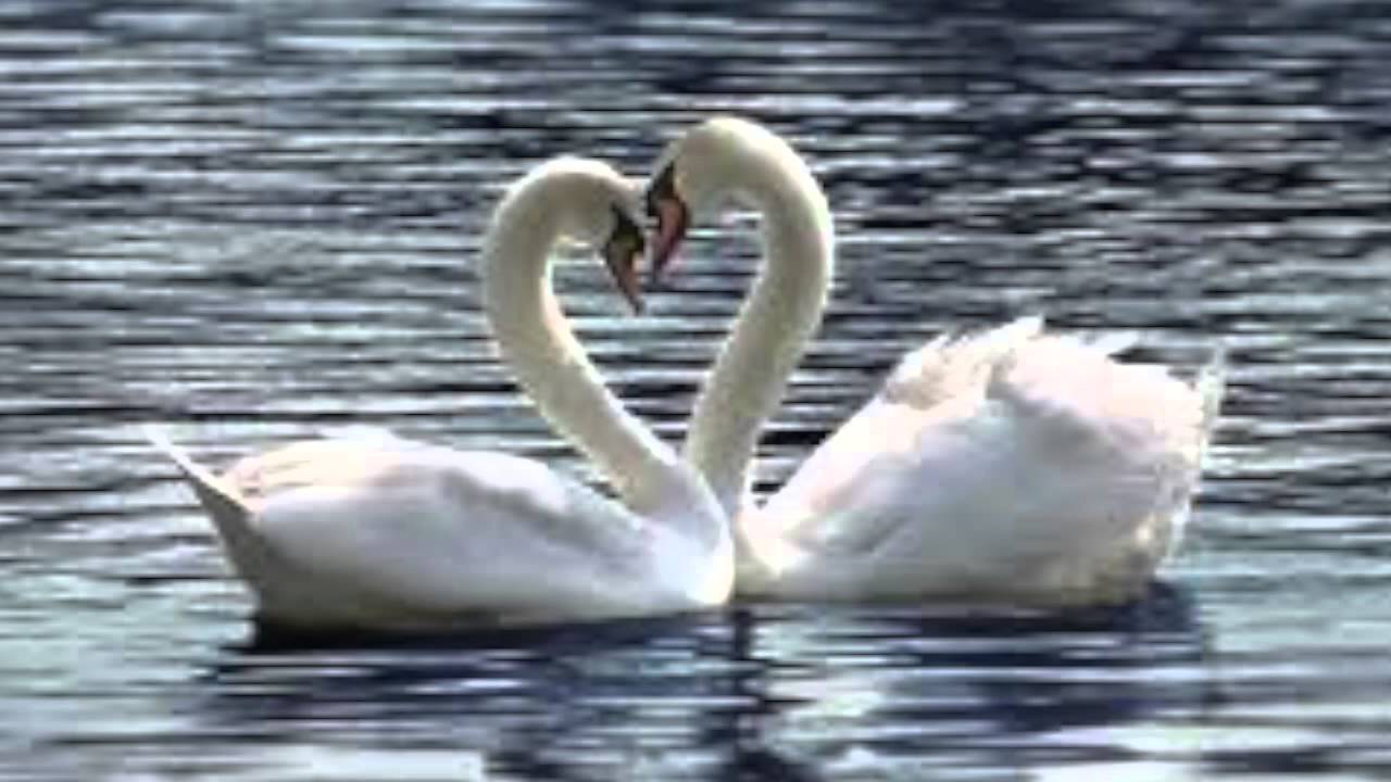 Listen to My Heart Maureen Christine, composer David Friedman