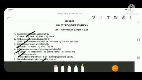 SOLUTION OF BIOLOGY PAPER | TERM 1 | CLASS 12 #pseb #psebboardexam #term1