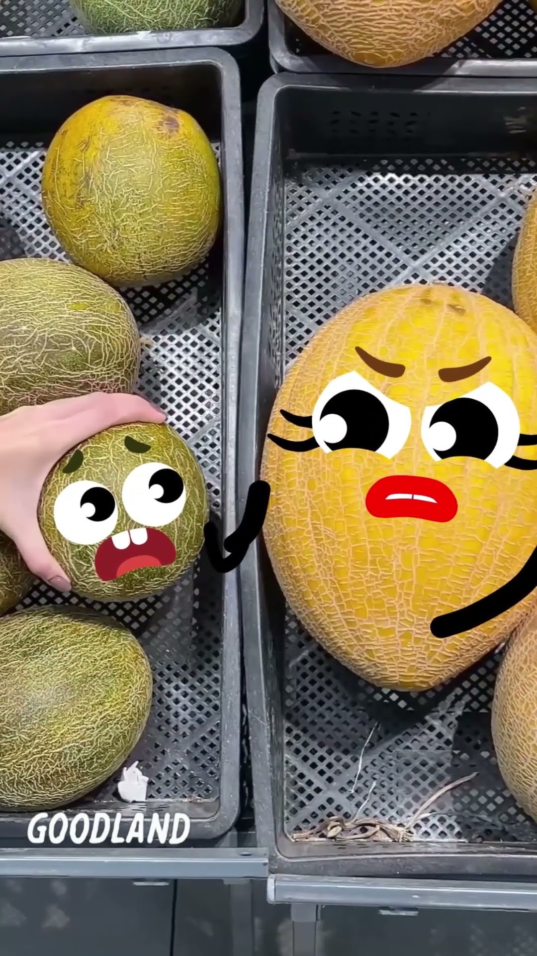 Two melons #Goodland #cartoon #animation