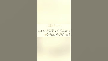 سورة نوح اية(٢٨)،دعاء نوح عليه السلام
