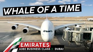 EMIRATES in BUSINESS on the A380  ?? Amman ✈ Dubai ?? EMIRATES Favorite Aircraft