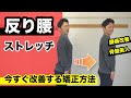 【反り腰】改善ストレッチ 即効で反り腰を矯正できる治し方 腰痛に効果的