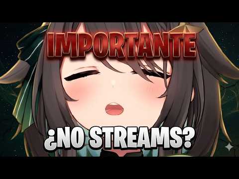 MEICA Y SU RAZÓN DE PORQUE NO HACE STREAMS - Meica05