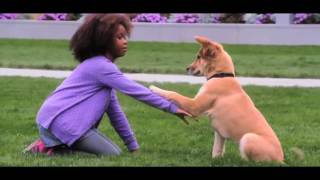 Download Lagu Annie   TV Spot dublado     LÉO STUDIO  2 MP3