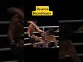 Reverse Roundhouse knockout #shortsfeed #ytshorts #shorts #mma