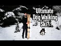 Nordic Backcountry Ski | Ultimate Dog Walking Ski?