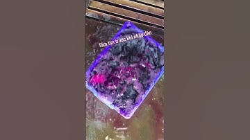 Thuốc tím Sát khuẩn & Diệt trùng cho cá #thuoctim #thuoctimchoca  #satkhuanchoca #diettrungchoca