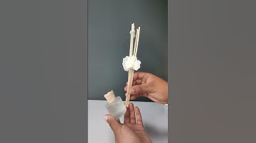 🌹Miniso blossom reed diffuser is at 💵KSH529 Only from 👉sophie.co.ke #sophiesonlineshopping #miniso