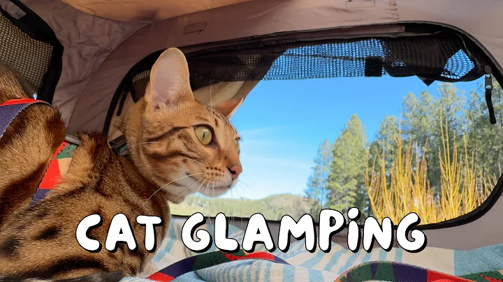 Watch the video about Our first Spring picnic with our cat and dog | Ep 19