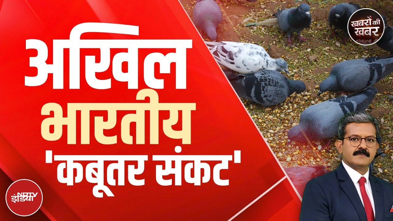 Mumbai News: कबूतर को दाना खिलाते हैं तो ये खबर एक बार जरूर देखिए | Pigeon | Khabron Ki Khabar