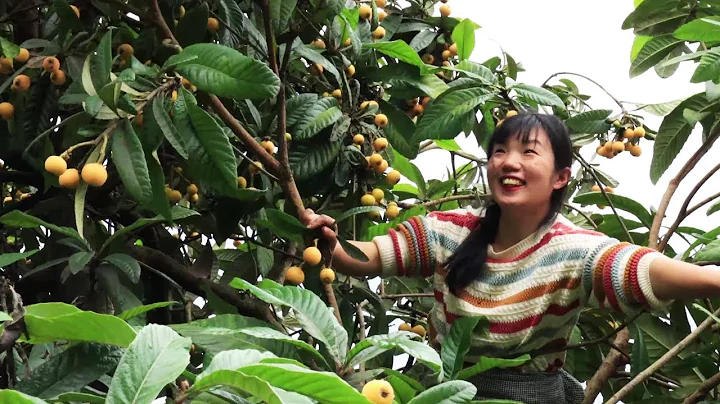 2000斤洋芋债终于还完，摘了农村常见的果子打算进城卖，能成功吗？【燕麦行游】 - 天天要闻
