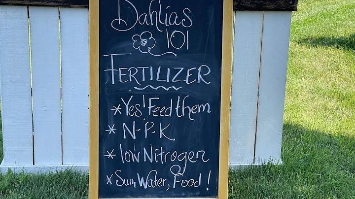 Dahlias 101 - Fertilizer