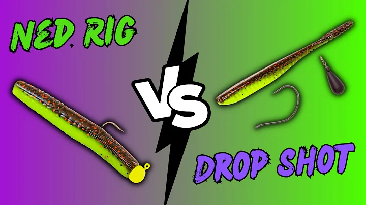 Ned Rig VS Drop Shot!  Which Is The BEST Finesse Fishing Technique?
