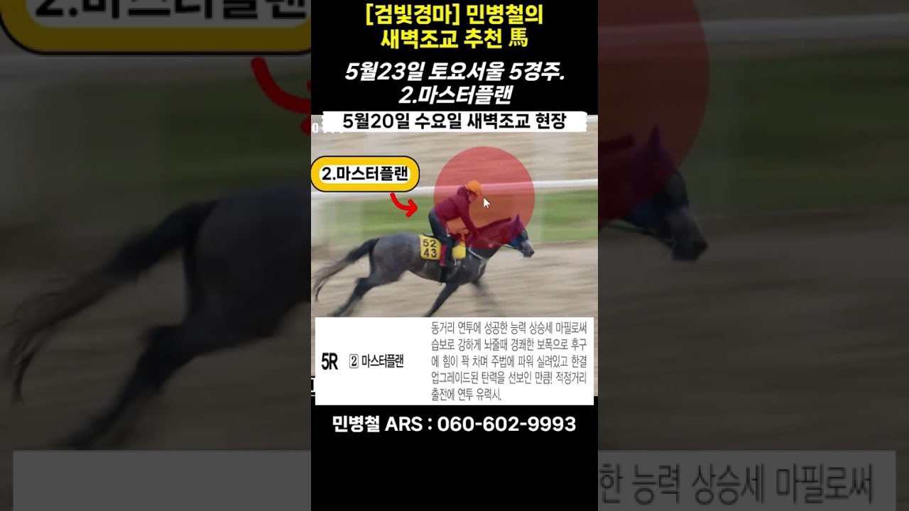 #5월23일 토요일!민병철의 새벽조교 우수馬!
