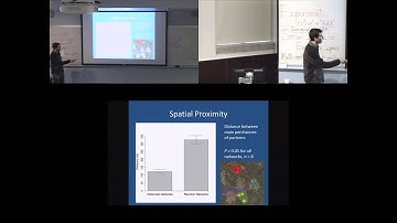 Generating manakin social networks with exponential random graph models