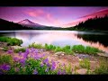 8 hours relaxing music for stress relief  beautiful piano instrumental music l healing music