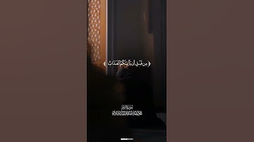 سورة الزمر الشيخ المنشاوي (الساجد) #طب_القلوب #راحة_القلوب