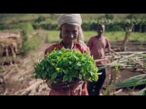 How to deal with climate change: Global Landscapes Forum