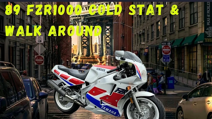 1989 fzr1000 cold start walk around