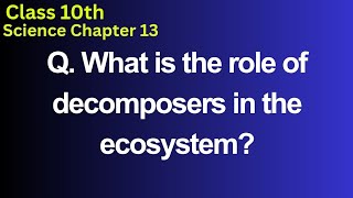 What is the role of decomposers in the ecosystem?