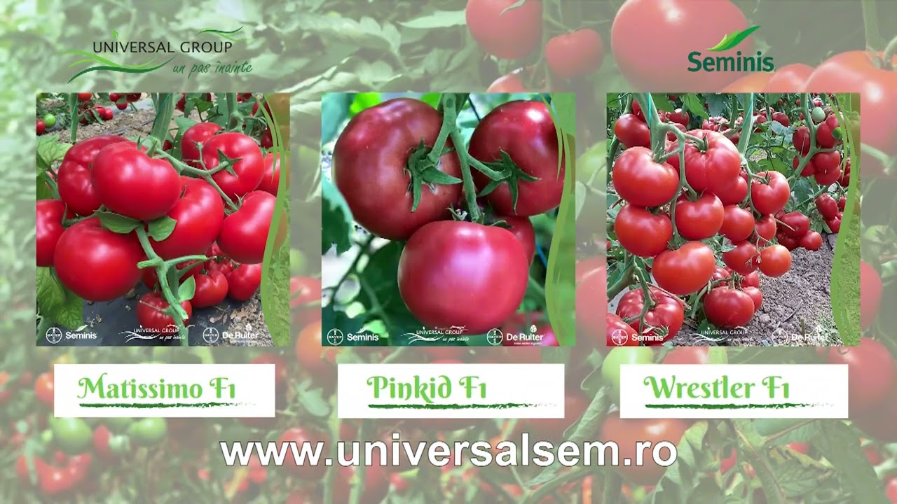 Agricultura la Raport Ovidiu Ghinea P1 05 03 2026