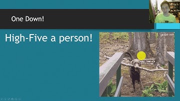 AP Calculus AB - Accumulation Functions FRQ