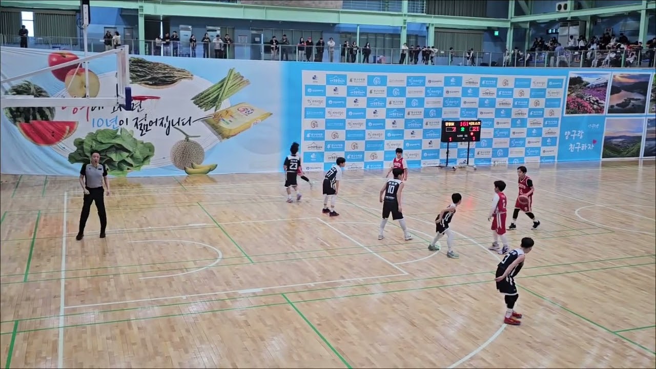 양구사과배 u10 강동SK vs 더모스트 예선2경기