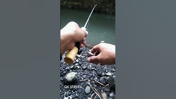 Casting ikan wader umpan tempe lagi #shorts #mancing #mancingmania #wader #ikan #channa #umpanjitu
