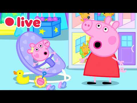 🔴 LIVE: Cutest Baby Evie Moments 🍼 | Peppa Pig’s Best Big Sister Moments ✨ | 4K