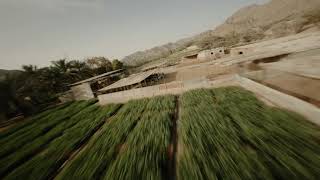 Another Fort Video?