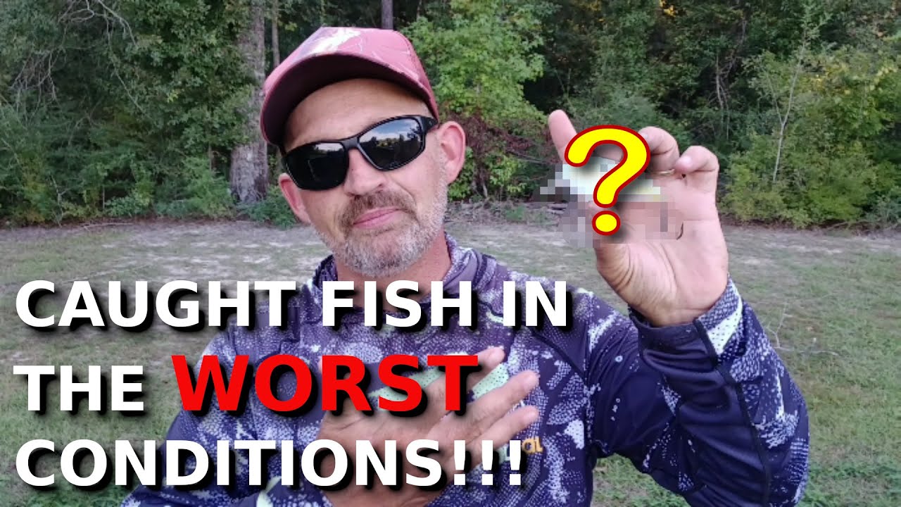 The TOP 3 Early Fall Baits You NEED!!!!