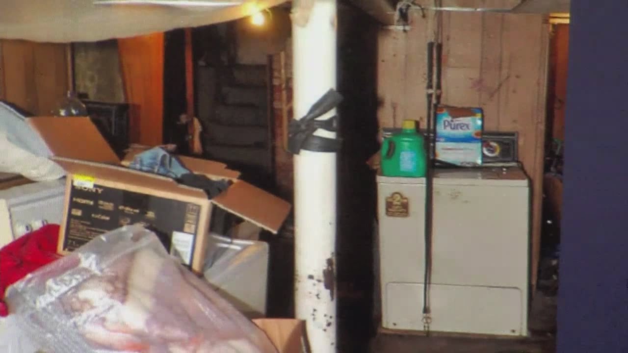 Snapshots of Seymour Ave. House