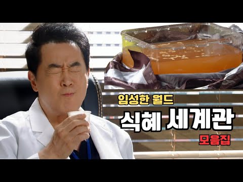 임성한 월드 표지 1