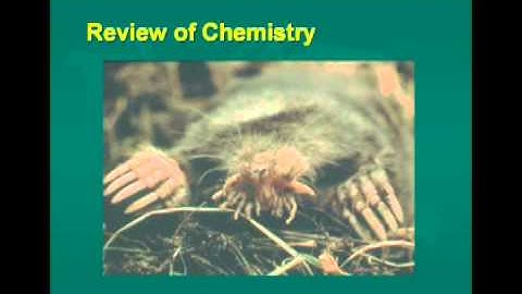 Forest Soils - Soil Temperature and Colloids