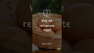 🥚+🧊=👍 Why Do We Refrigerate Eggs? #shorts #followme