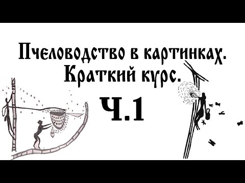 Пчеловодство в картинках. Краткий курс. Ч. 1 Пчеловодство в картинках. Краткий курс. Ч. 1