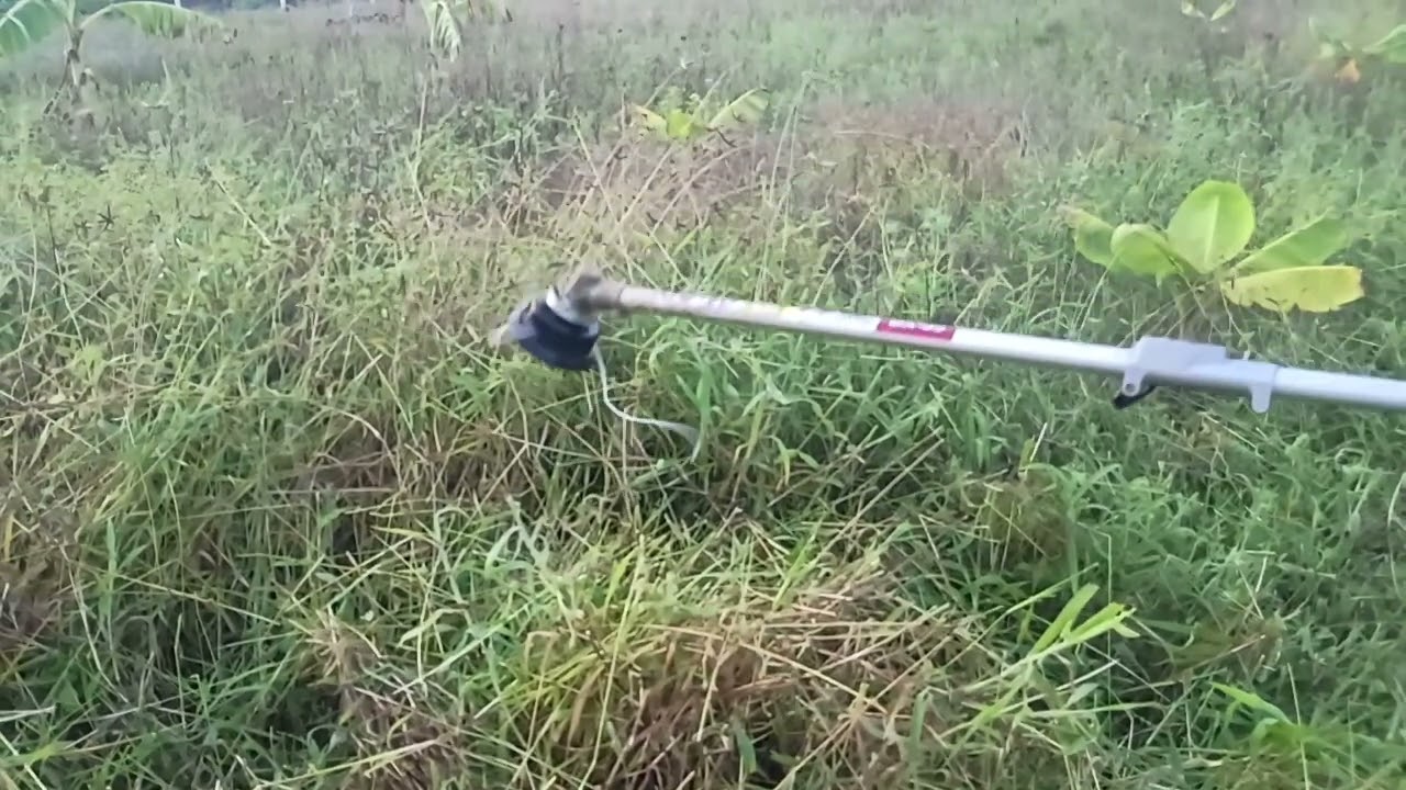 Brush Cutter Test 2