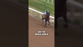 Flightline Retired A Perfect 6 From 6 After Winning The Breeders Cup Classic