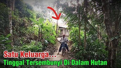 NEKAD❗SEPASANG LANSIA TINGGAL MENYENDIRI DI TENGAH HUTAN.MAU KEMANA SAJA JAUH.