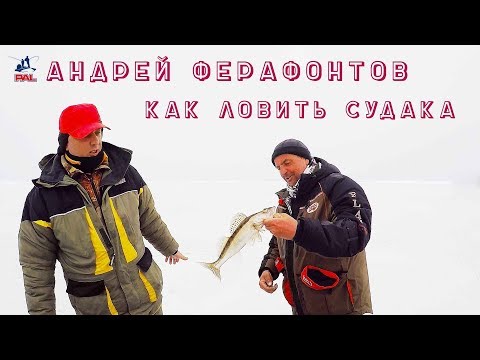 Судак на ратлины: что в коробке у чемпиона? Андрей Ферафонтов о секретах ловли судака на вибы зимой
