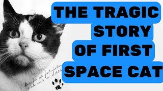 The Tragical Story of First Cat in Space - Story of Felicette by Pet in the Net 773 views 8 months ago 4 minutes, 29 seconds