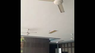 4 60” KDK ceiling fans